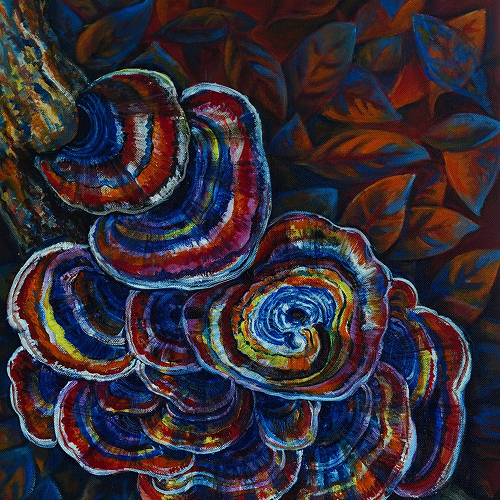 WhatsApp-Image-2025-09-27-at-19.10.13-2 1